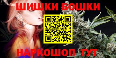 индика Заволжье